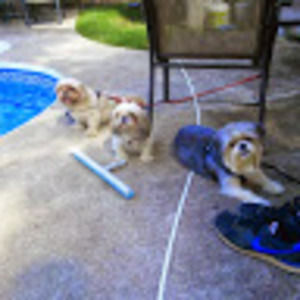 Meet your Posher, Virginie